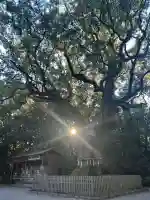 熱田神宮(愛知県)