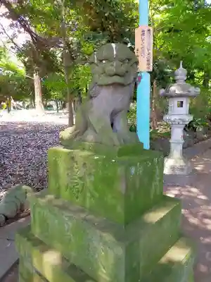 峯ヶ岡八幡神社の狛犬