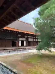 妙心寺（妙心禅寺）の建物その他