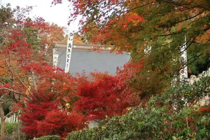 観音正寺の自然