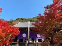 禅林寺(永観堂)の本殿・本堂