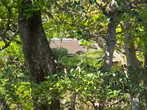 仁和寺(京都府)