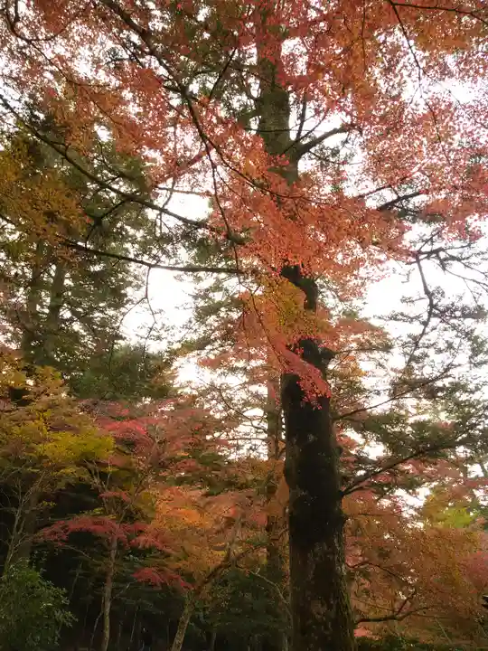 四宮神社の自然