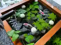 滑川神社 - 仕事と子どもの守り神(福島県)