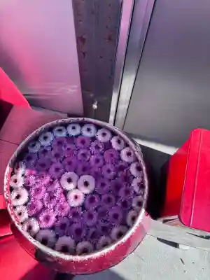 三島神社の{uncategorized: "未分類", other: "その他", undefined: "問題あり", building: "その他建物", grave: "お墓", sacred_gate: "鳥居", guardian: "狛犬", statue: "像", buddha: "仏像", history: "歴史", nature: "自然", garden: "庭園", animal: "動物", pagoda: "塔", temizu: "手水舎", mountain_gate: "山門・神門", sanctuary: "本殿・本堂", subordinate: "末社・摂社", art: "芸術", scenery: "景色", jizo: "地蔵", ema: "絵馬", goshuin: "御朱印", omikuji: "おみくじ", items: "授与品その他", amulet: "お守り", goshuincho: "御朱印帳", eats: "食事", festival: "お祭り", votive_dance: "神楽", shichigosan: "七五三参", wedding: "結婚式", experience: "体験その他", initially: "初詣", around: "周辺", anti_infection: "感染症対策"}