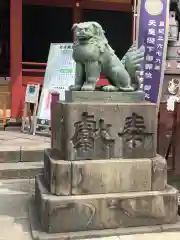 浅草神社の狛犬