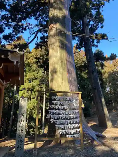 新山神社(宮城県)