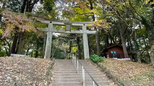 宝登山神社奥宮の鳥居