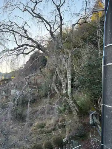 福田寺(愛知県)