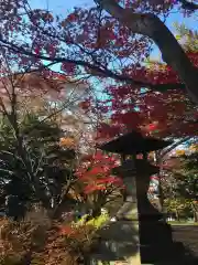 彌彦神社　(伊夜日子神社)の建物その他