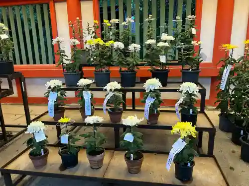 武蔵一宮氷川神社(埼玉県)