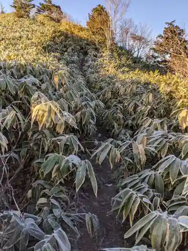 恵那神社奥宮本社(長野県)