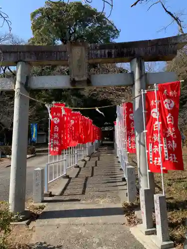 白髭神社の鳥居