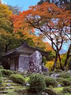 萬徳寺(福井県)