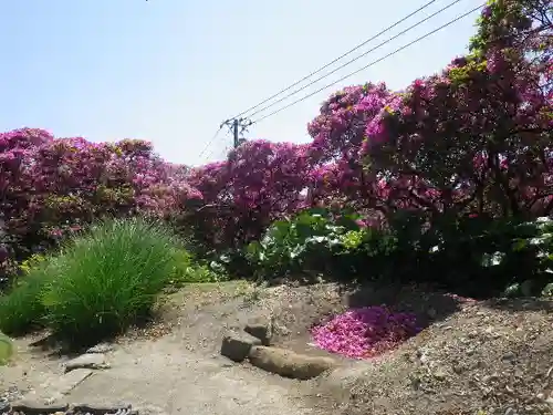 安養院　(田代寺）の庭園