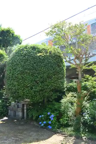 萬福寺(神奈川県)