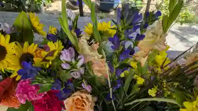 勝林寺(京都府)