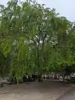 龍泉寺(岡山県)