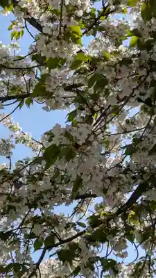 六孫王神社(京都府)
