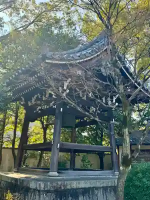 廬山寺(廬山天台講寺)(京都府)