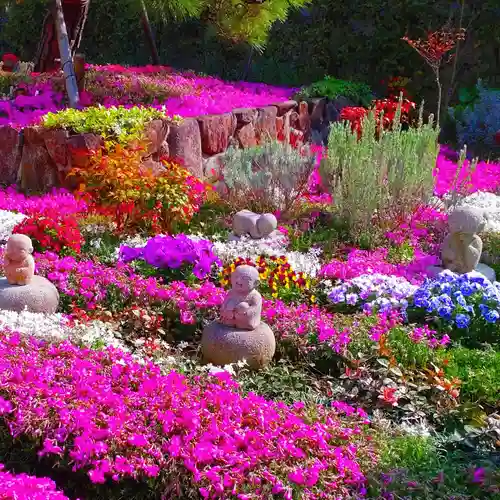 寿量山　速成寺(奈良県)