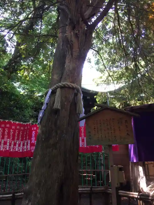 大宮八幡宮のその他建物