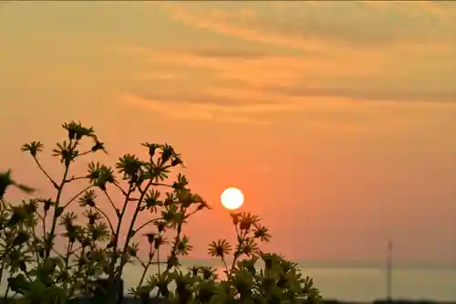 白山媛神社(新潟県)