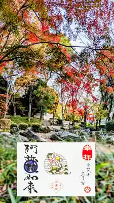 平成31年2月 阿弥陀如来の復刻版
『春はすぐそこ梅と鶯と戯れる猫』
令和5年10月より始まりました新シーズンの背景となった見開き御朱印の復刻版です。
平成31年に御授与をしていました。
令和6年2月ー月替わり御朱印ーの背景です😺