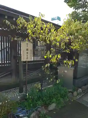 湯島天満宮(東京都)