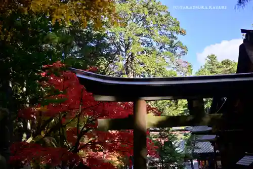 北口本宮冨士浅間神社(山梨県)