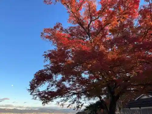 石清水八幡宮の自然
