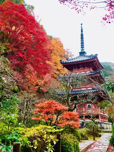 三室戸寺の景色