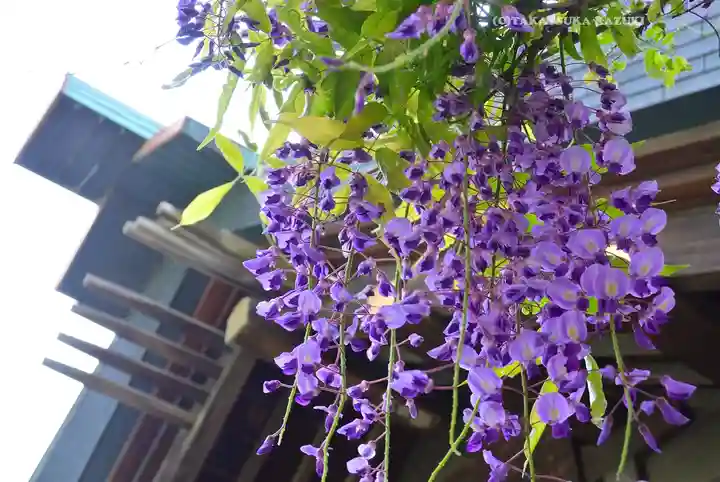 國領神社(東京都)