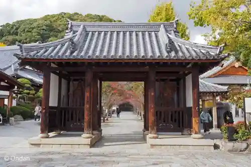 蓮生院の山門