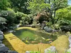 感通寺の庭園