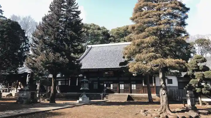 南蔵院の本殿・本堂