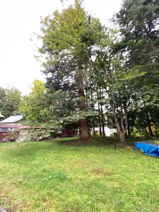 高照神社の周辺