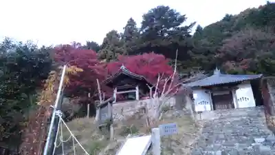 八塔寺(岡山県)