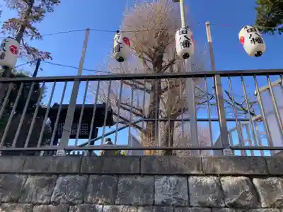 代田八幡神社(東京都)