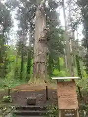 羽黒山五重塔(出羽三山神社)(山形県)