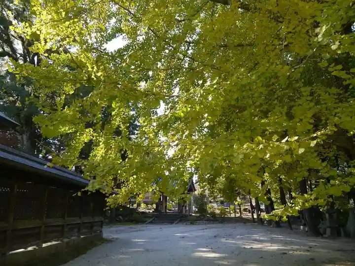 與止日女神社の自然