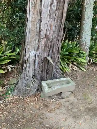 上熊野神社(千葉県)