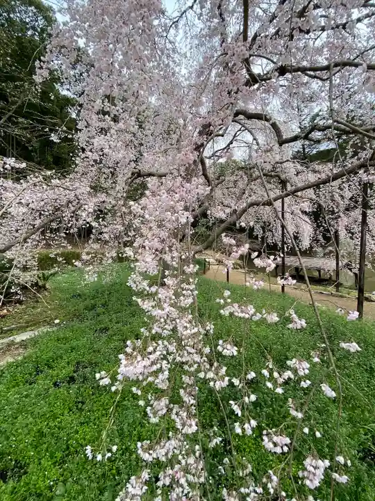 曹源寺(岡山県)