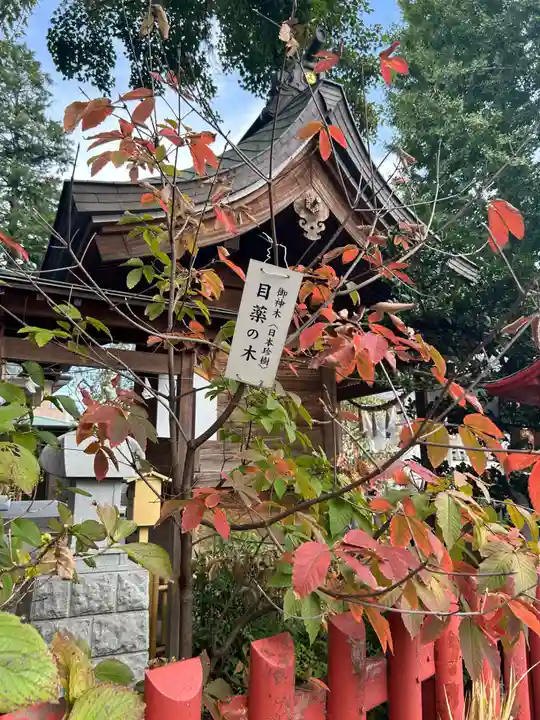 川越八幡宮(埼玉県)