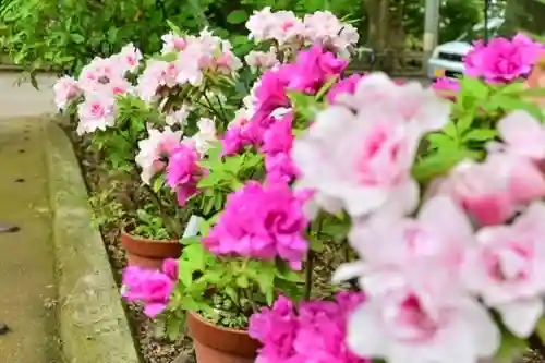 金峯神社(新潟県)