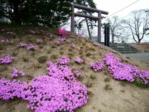 厚別神社(北海道)