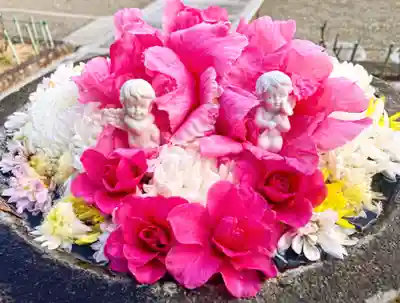 真言宗　善通寺派　薬王寺(香川県)