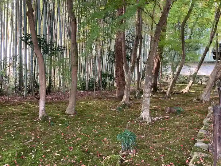 地蔵院(京都府)