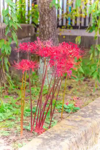 七郷神社(宮城県)