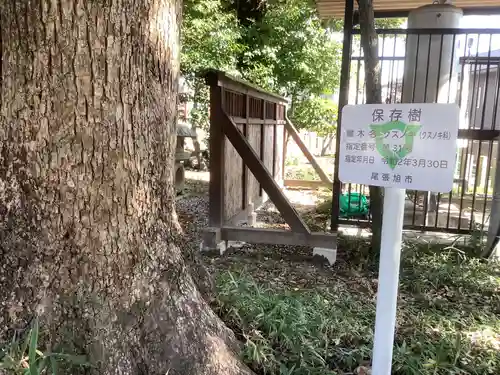 澁川神社（渋川神社）の庭園